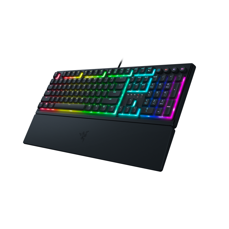 RAZER ORNATA V3