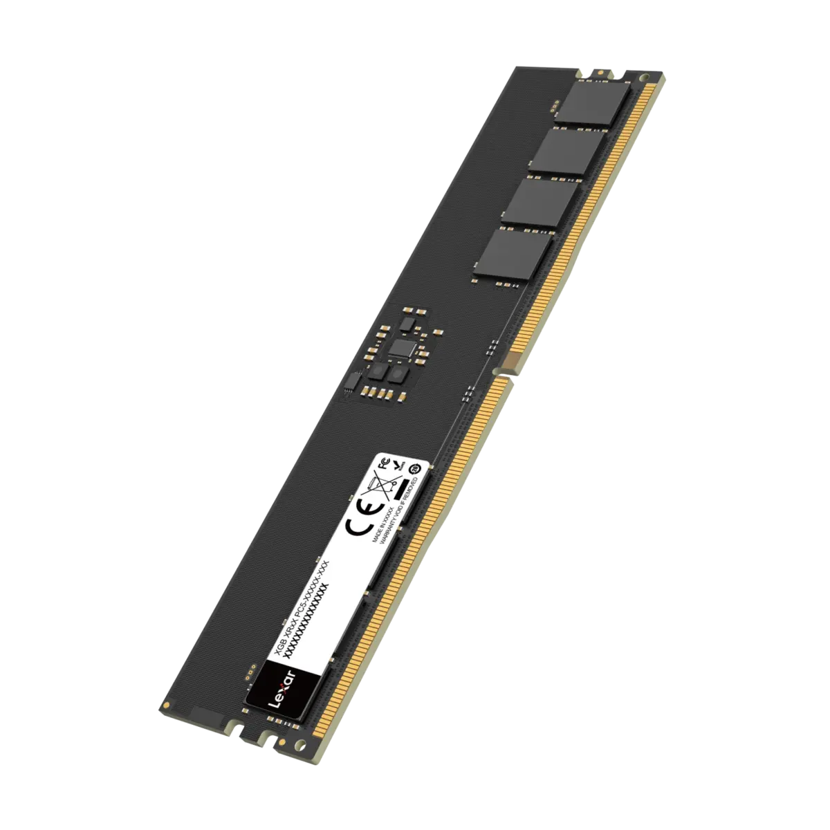 Lexar 32 Go DDR5 5600 MHz
